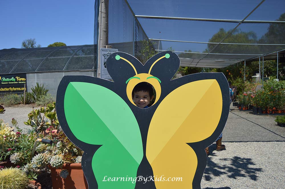 Butterfly Farms | LearningByKids.com