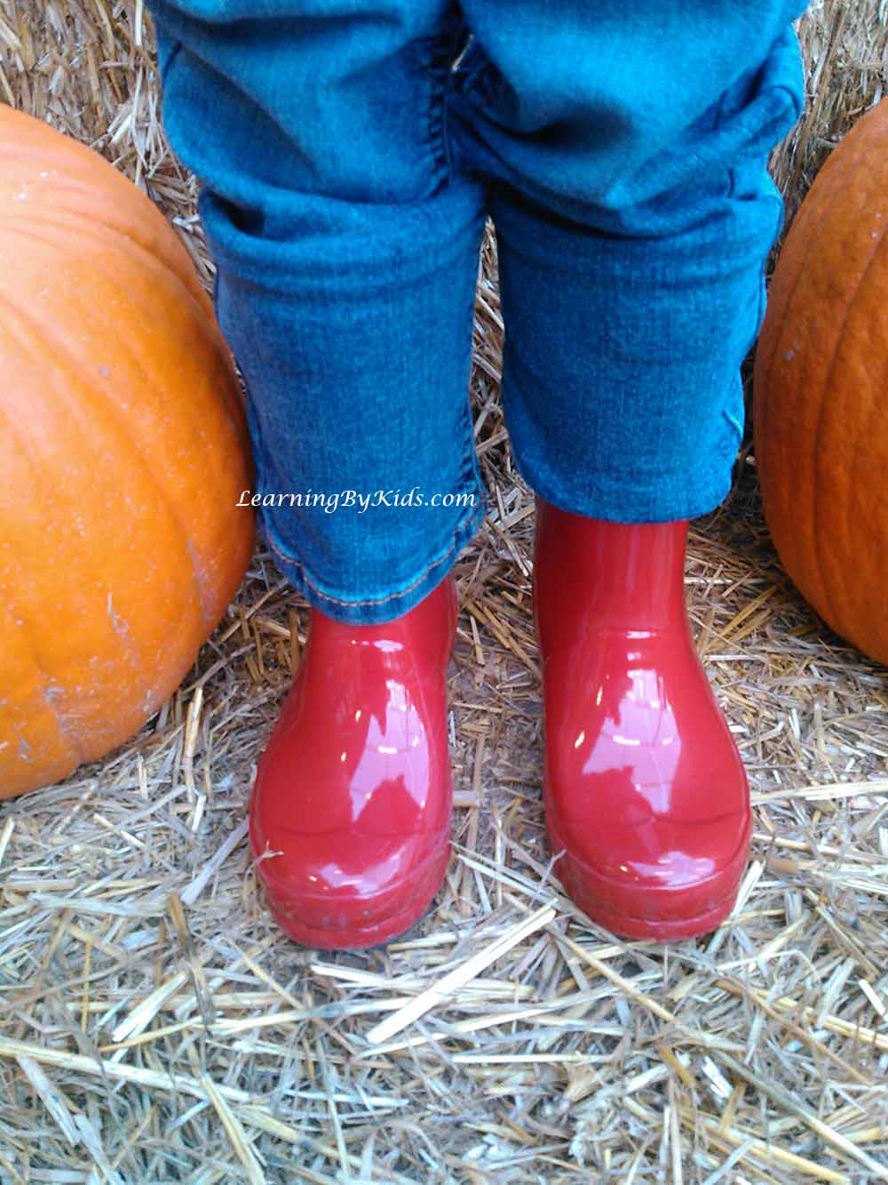 Autumn Season Hunter Wellingtons Rain Boots | Learning By Kids | LearningByKids.com