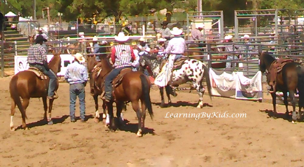 Poway Rodeo Horses | Learning By Kids | LearningByKids.com